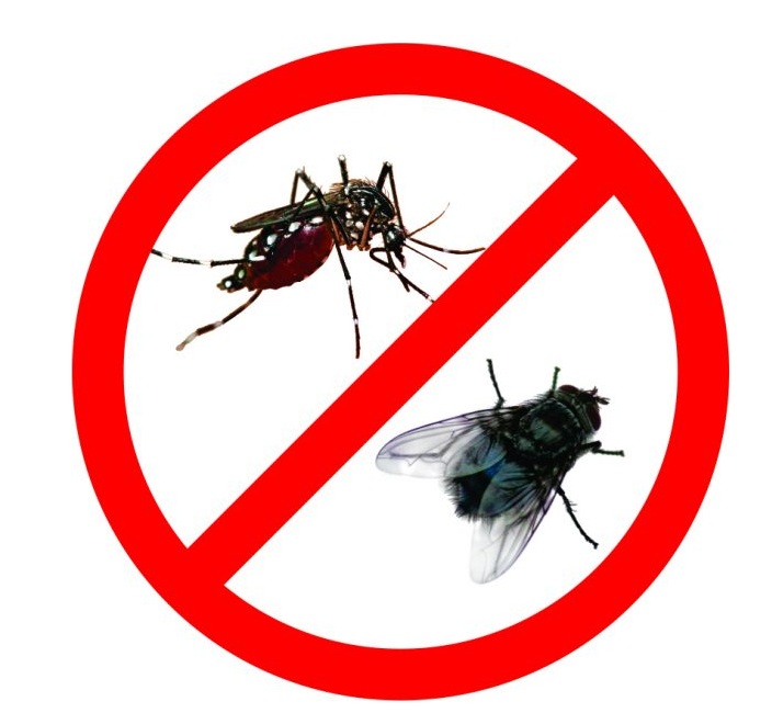 Dịch vụ diệt côn trùng